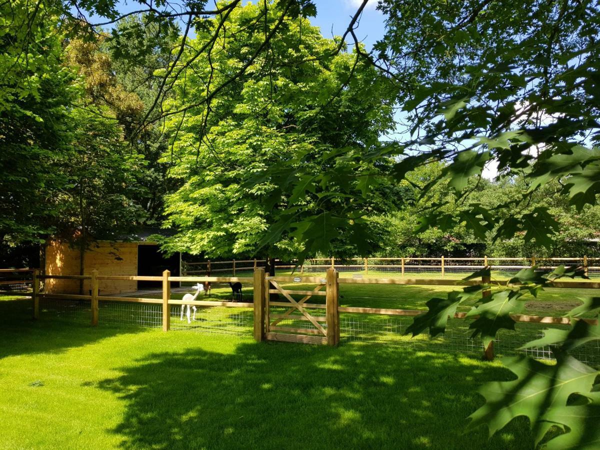 The Two Oaks - Private Garden For Guests Villa Hertsberge Exterior photo