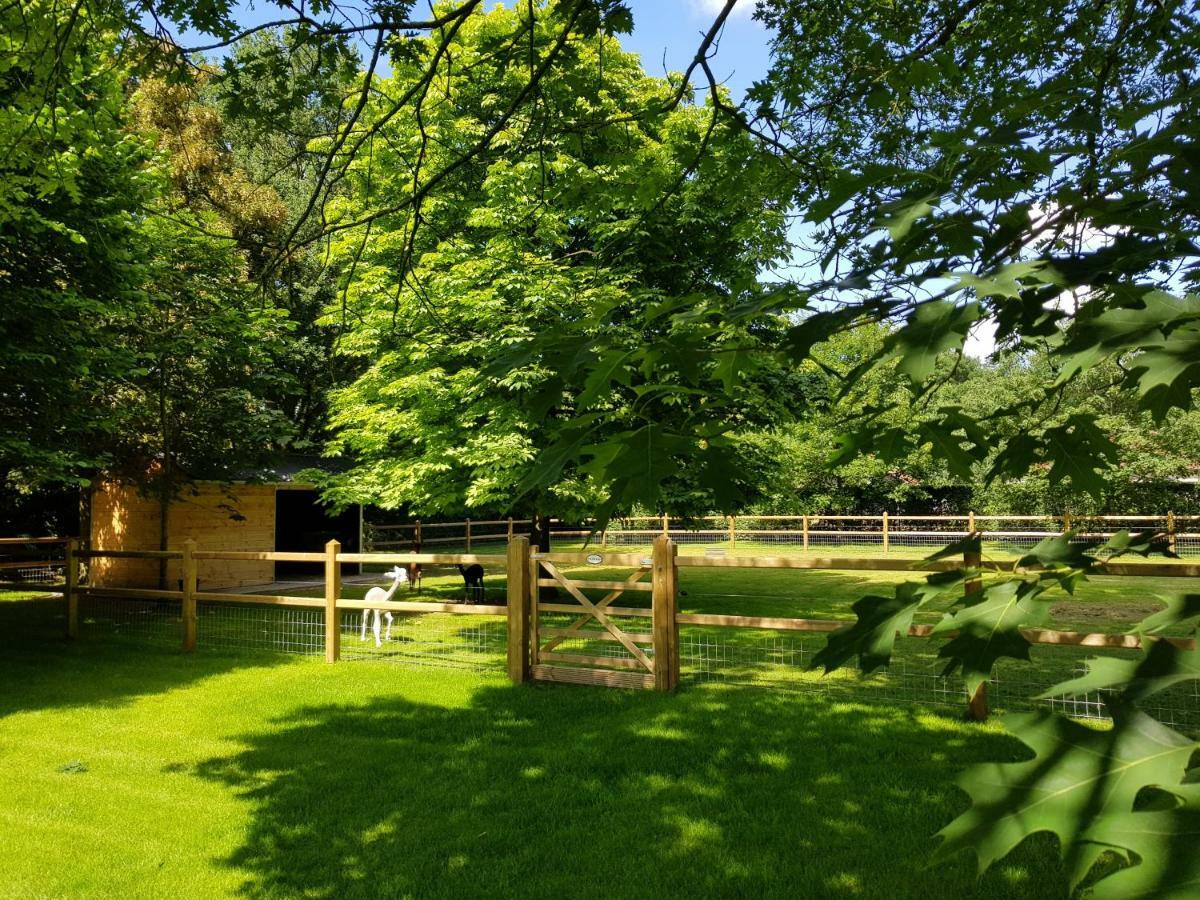 The Two Oaks Villa Hertsberge Exterior photo